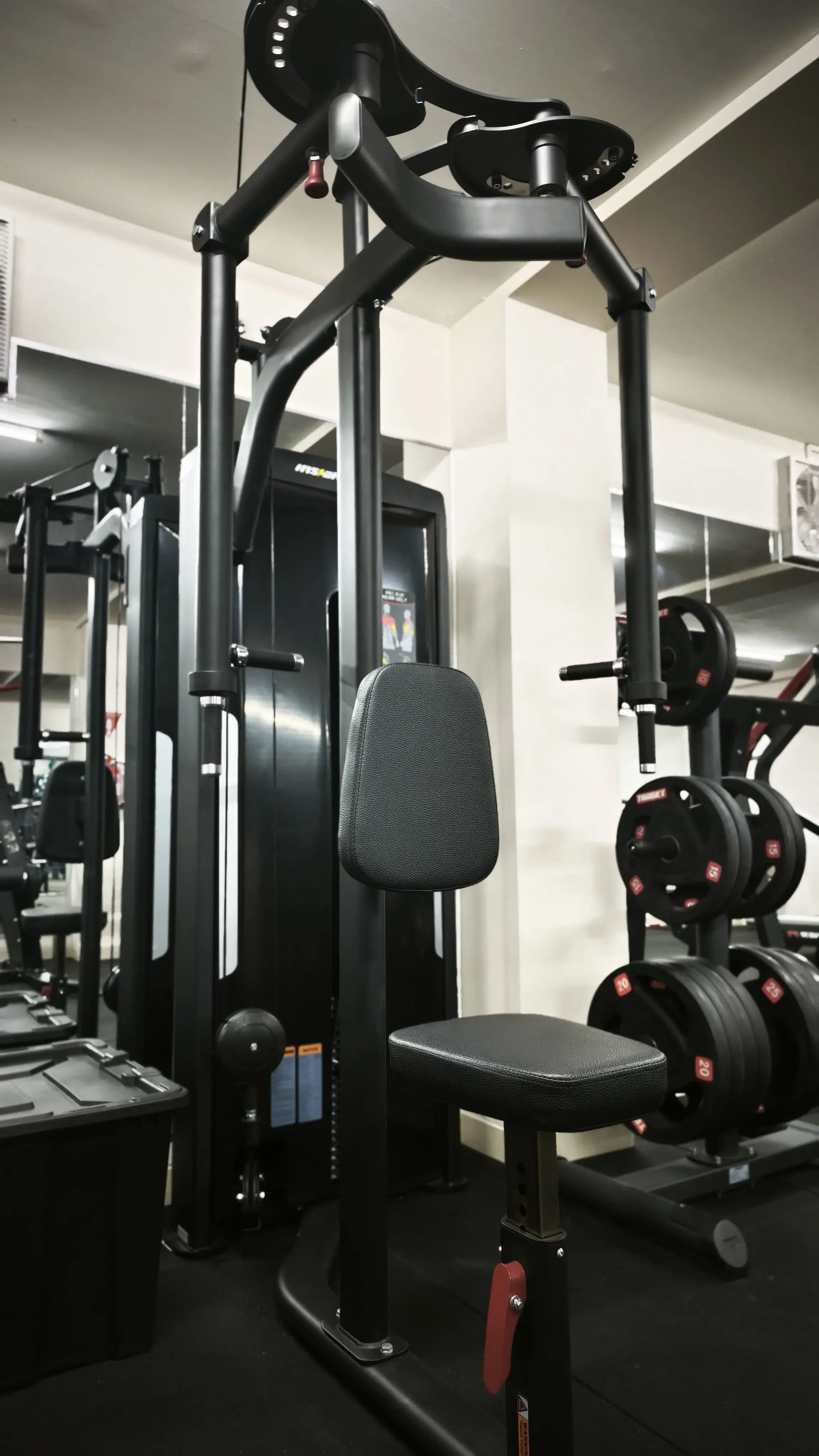 Chest & upper body training